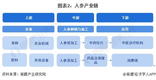 预见2024 2024年中国人参行业全景图谱 附市场现状 竞争格局和发展趋势等