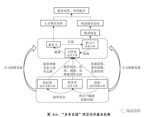 财报透视 忘掉万亿gmv,拼多多的潜力在于这件事