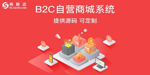 B2C商城系统开发价格解析 影响成本的关键因素与预算指南